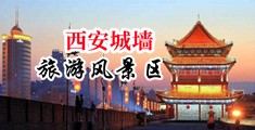 哦哦，好爽，用力插视频中国陕西-西安城墙旅游风景区