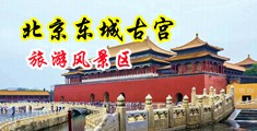 女人腿好逼骚毛片网站中国北京-东城古宫旅游风景区